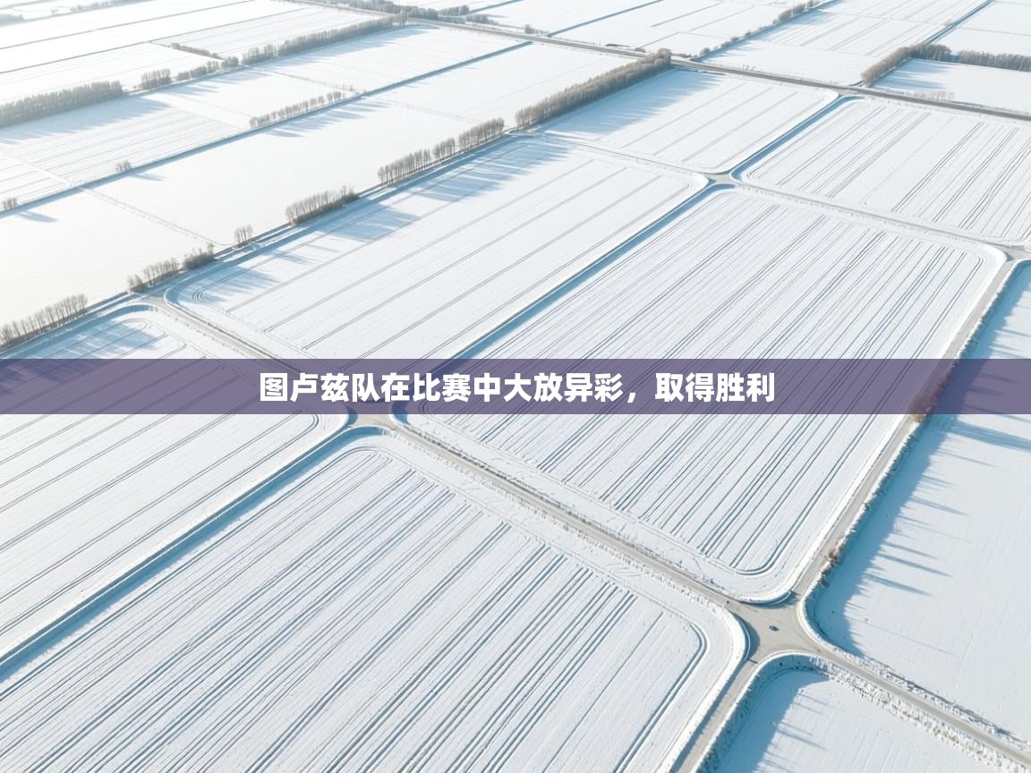 图卢兹队在比赛中大放异彩，取得胜利