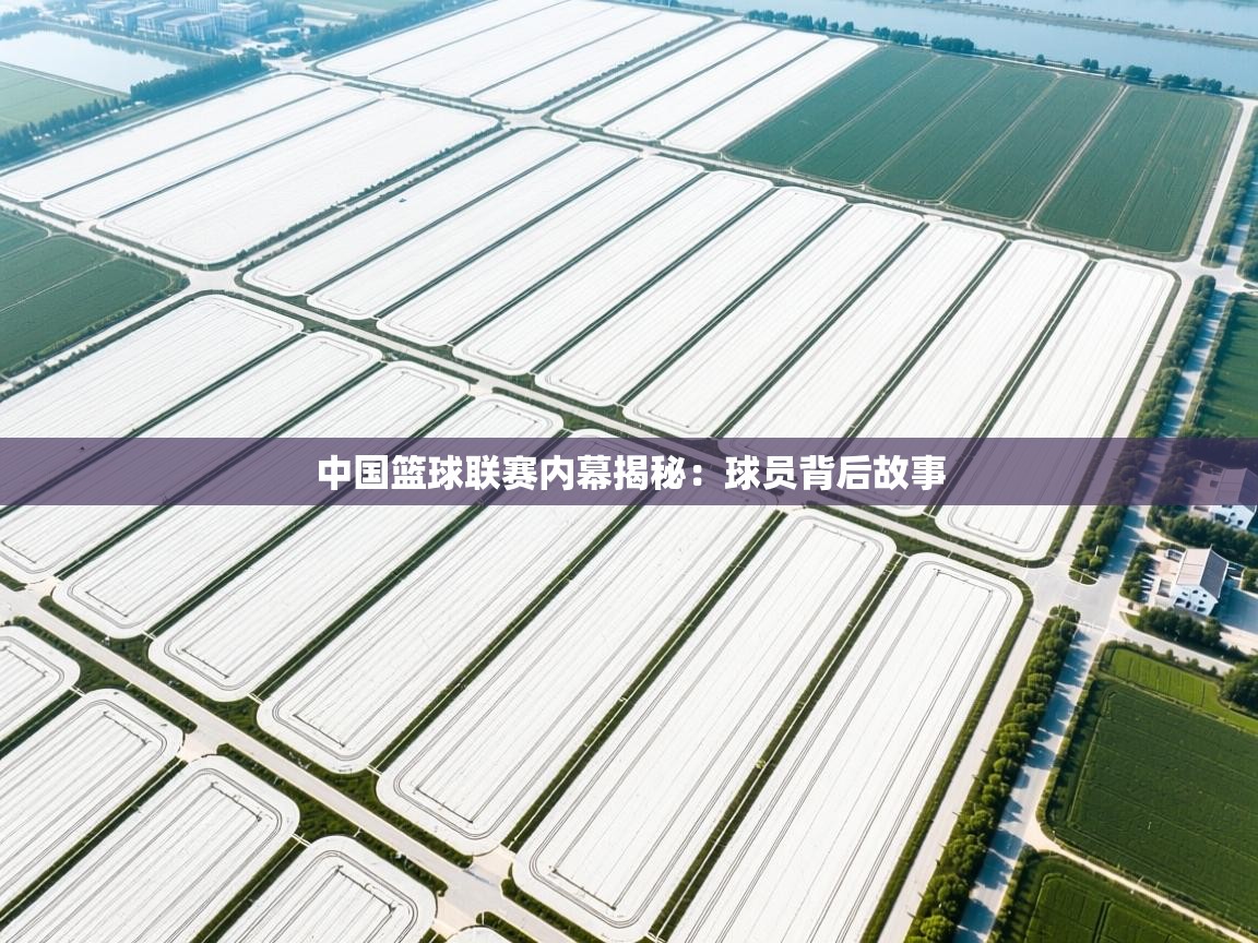 中国篮球联赛内幕揭秘：球员背后故事