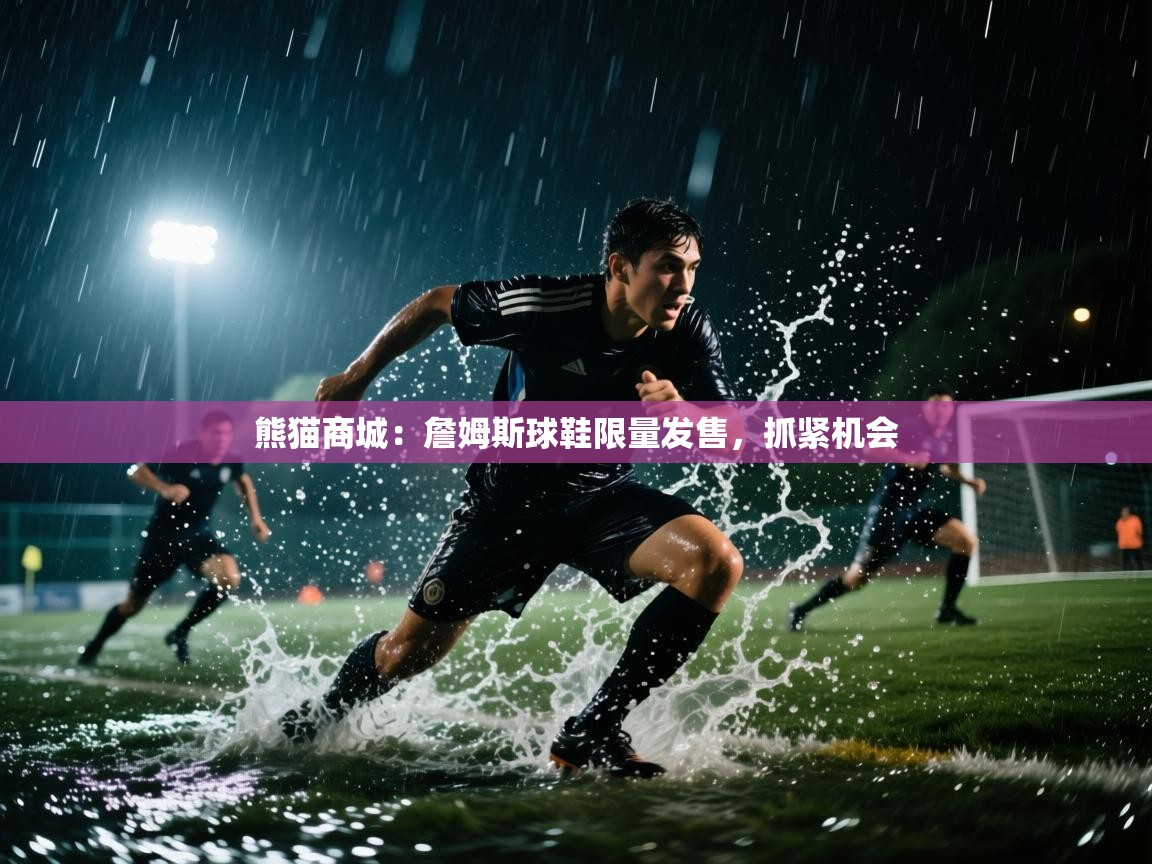 熊猫商城：詹姆斯球鞋限量发售，抓紧机会  第2张