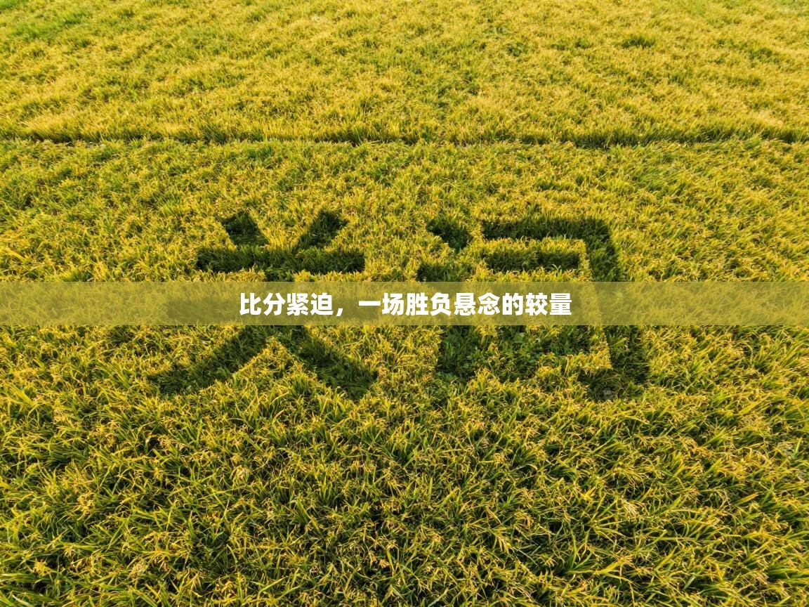 比分紧迫，一场胜负悬念的较量  第2张