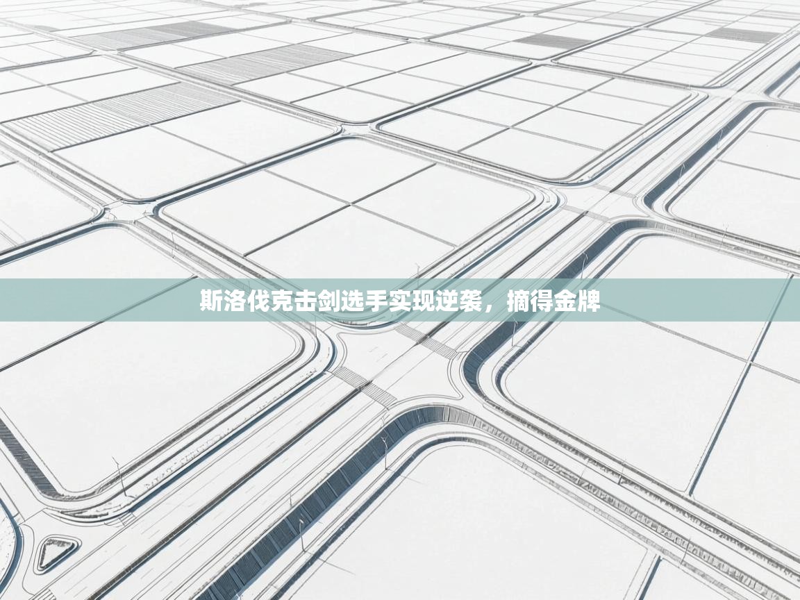 斯洛伐克击剑选手实现逆袭，摘得金牌  第2张