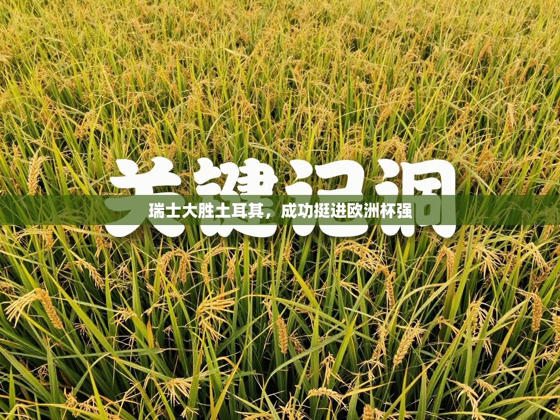 瑞士大胜土耳其,成功挺进欧洲杯强 第2张