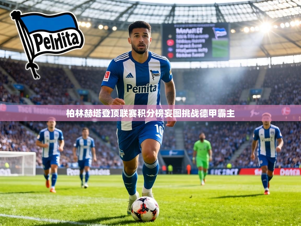 柏林赫塔登顶联赛积分榜妄图挑战德甲霸主 第2张