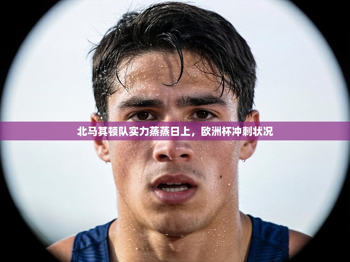 北马其顿队实力蒸蒸日上，欧洲杯冲刺状况