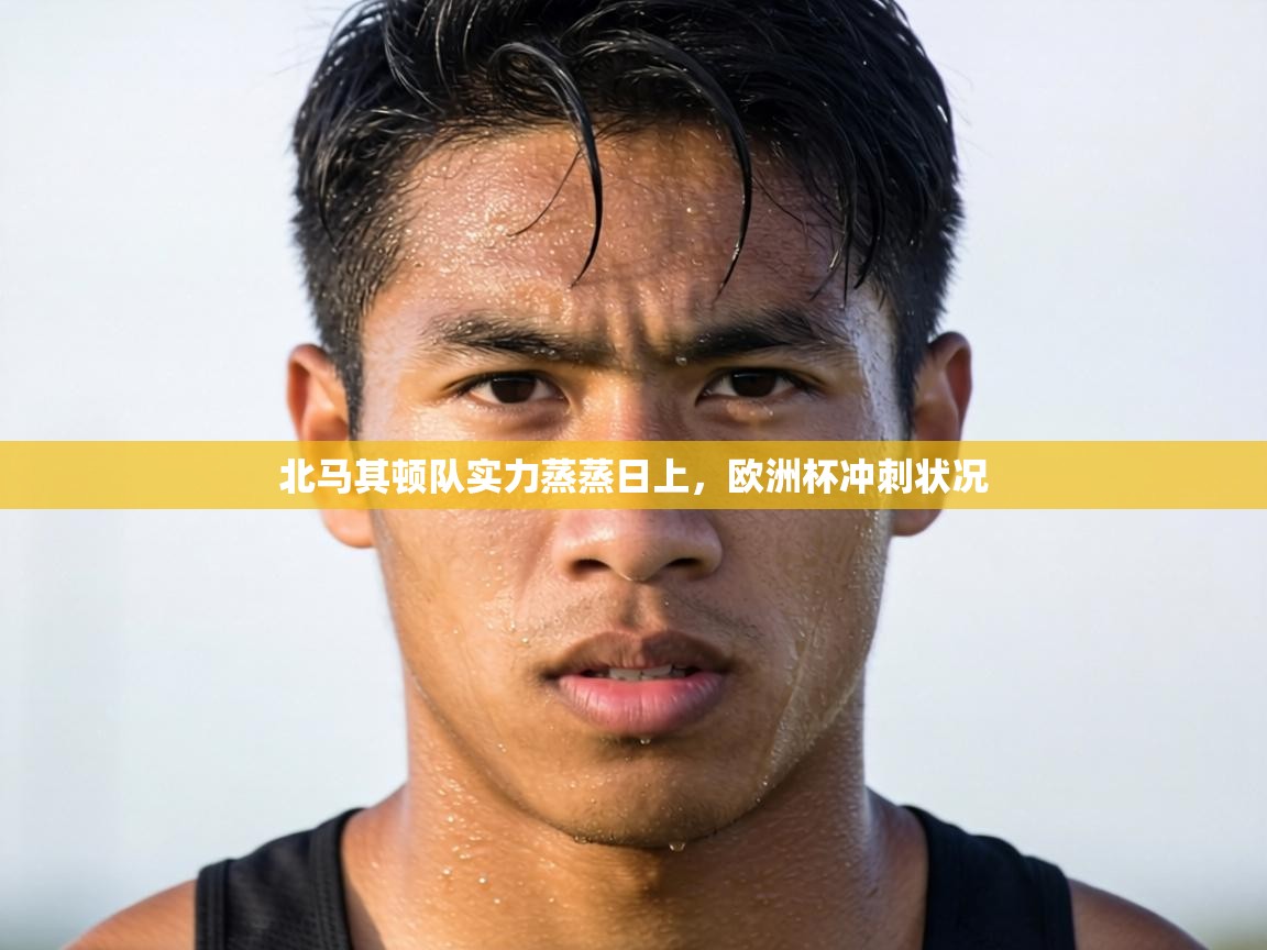 北马其顿队实力蒸蒸日上，欧洲杯冲刺状况  第2张